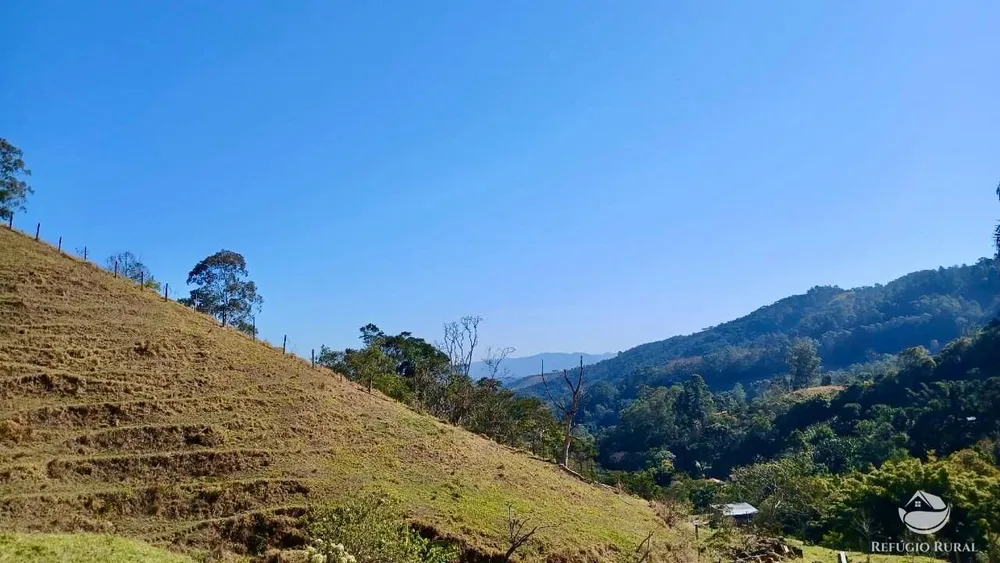 Terreno, 60 hectares - Foto 7