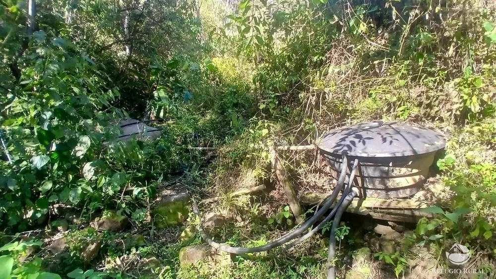 Terreno, 60 hectares - Foto 11
