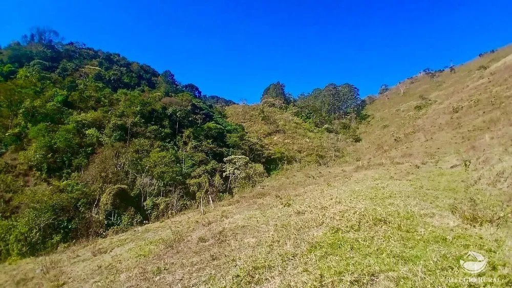 Terreno, 60 hectares - Foto 3