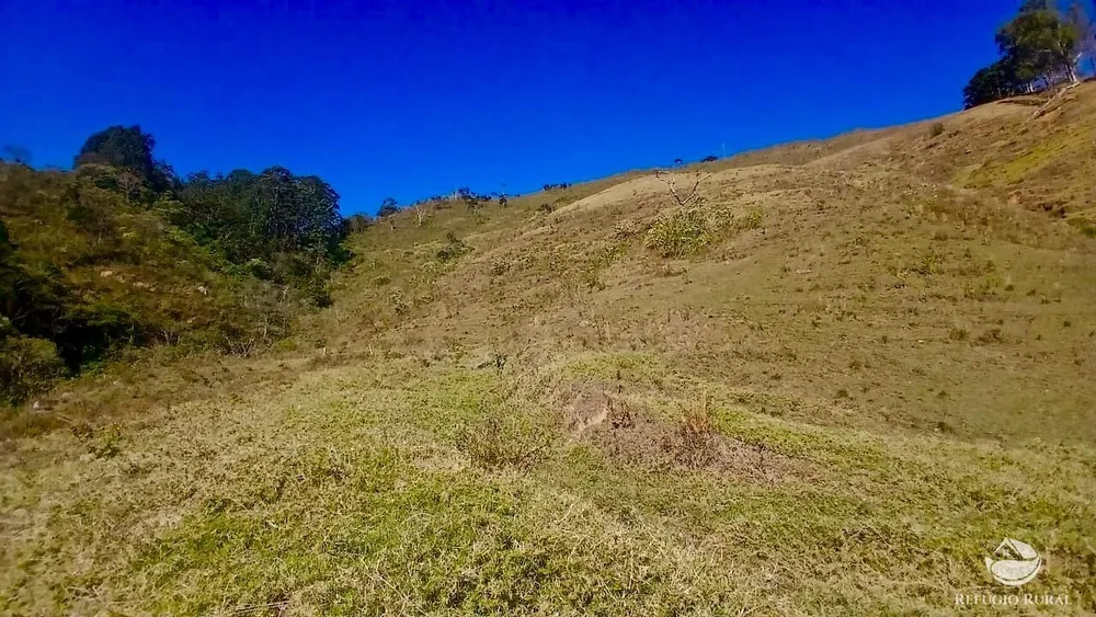 Terreno, 60 hectares - Foto 4