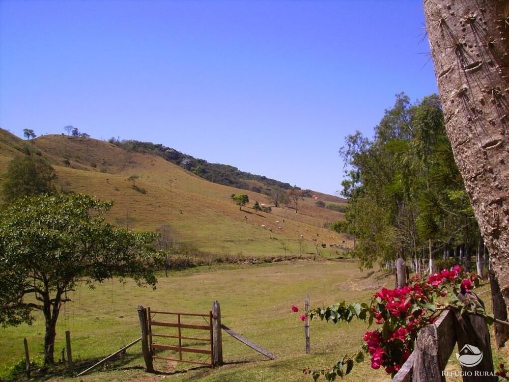 Fazenda à venda com 4 quartos, 1355200m² - Foto 13