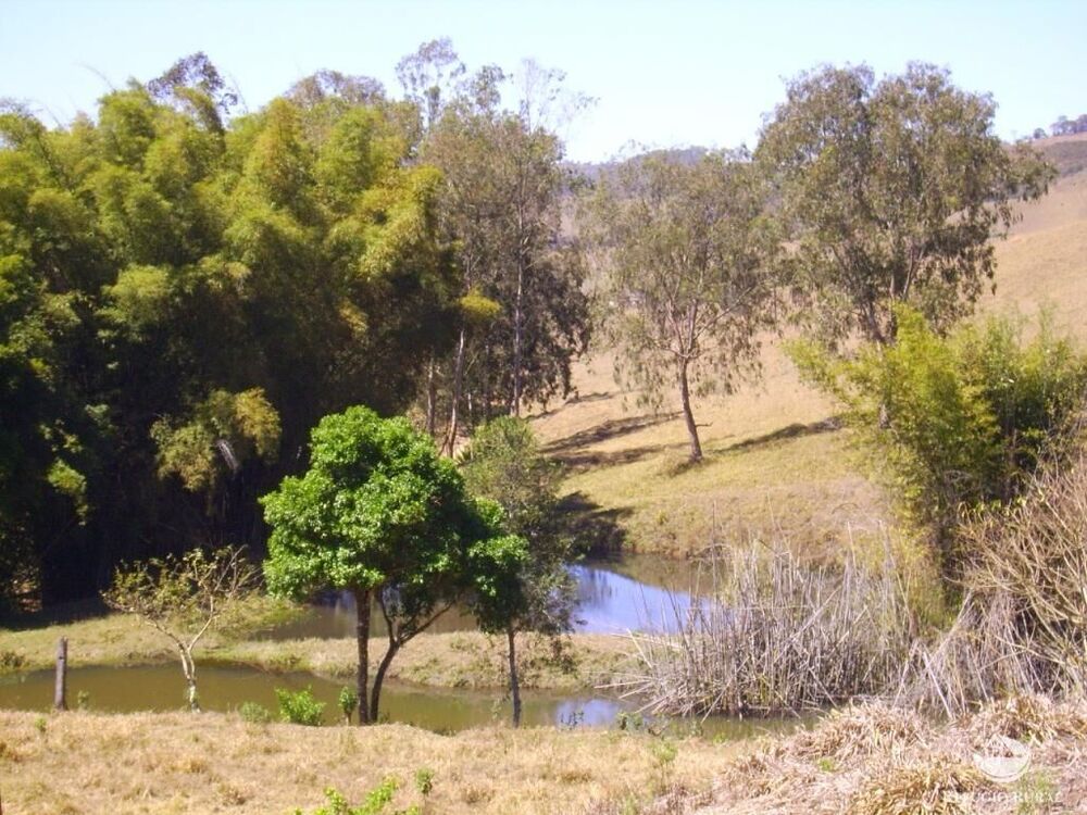 Fazenda à venda com 4 quartos, 1355200m² - Foto 4