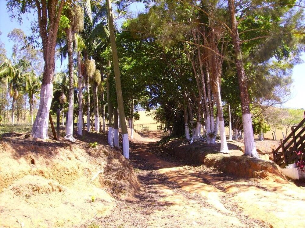 Fazenda à venda com 4 quartos, 1355200m² - Foto 14