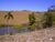 Fazenda-Sítio-Chácara, 136 hectares - Foto 10