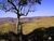 Fazenda-Sítio-Chácara, 136 hectares - Foto 25
