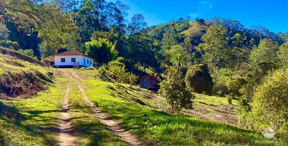 Sítio, 12 hectares - Foto 1