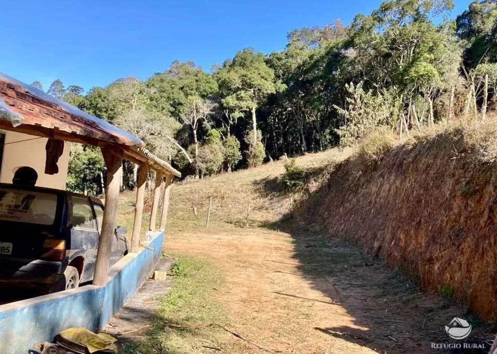 Sítio, 12 hectares - Foto 10