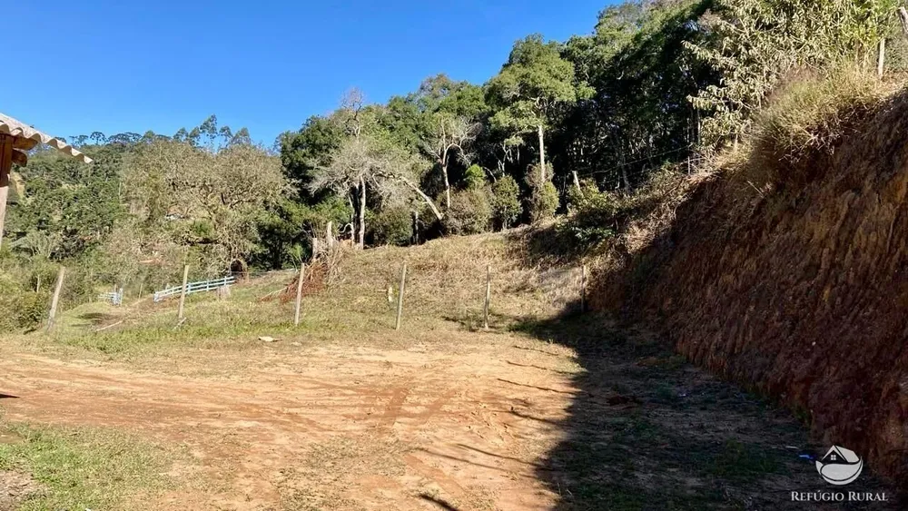 Sítio, 12 hectares - Foto 7