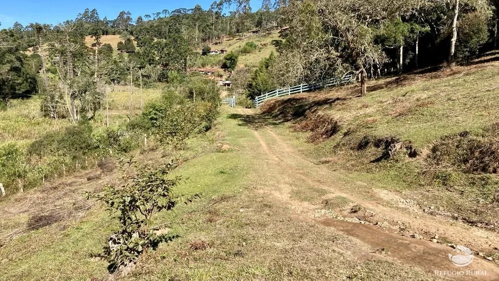 Sítio, 12 hectares - Foto 8