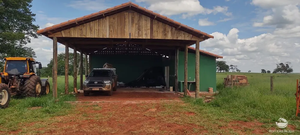Fazenda, 193 hectares - Foto 6