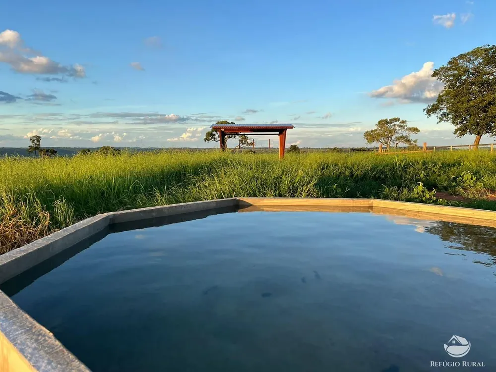 Fazenda, 193 hectares - Foto 3