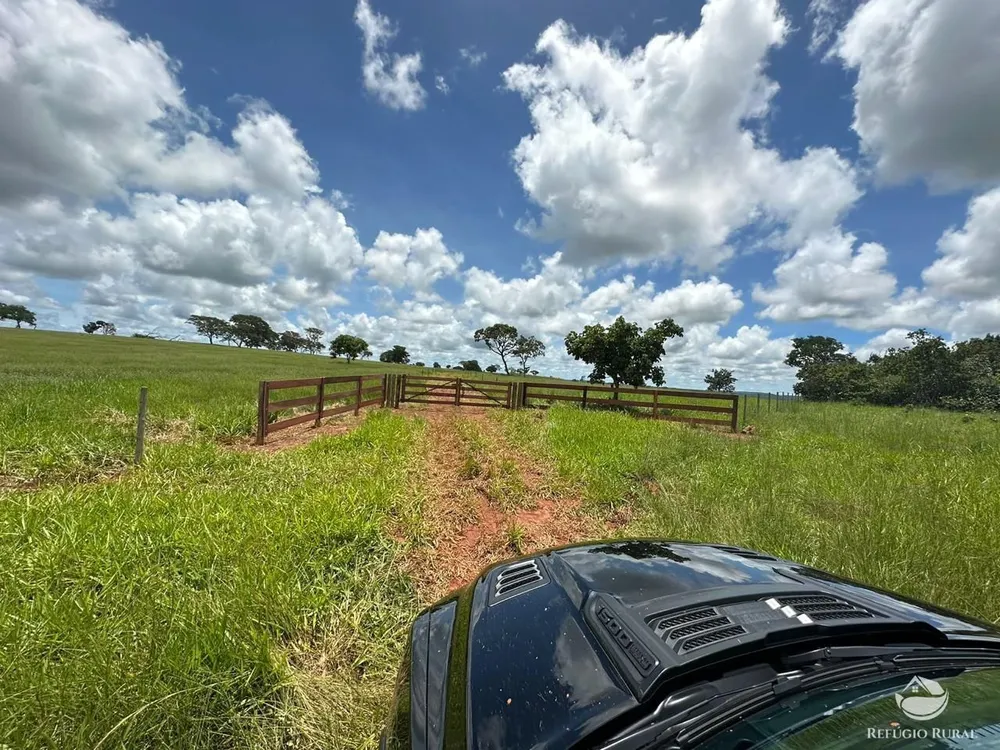 Fazenda, 193 hectares - Foto 8