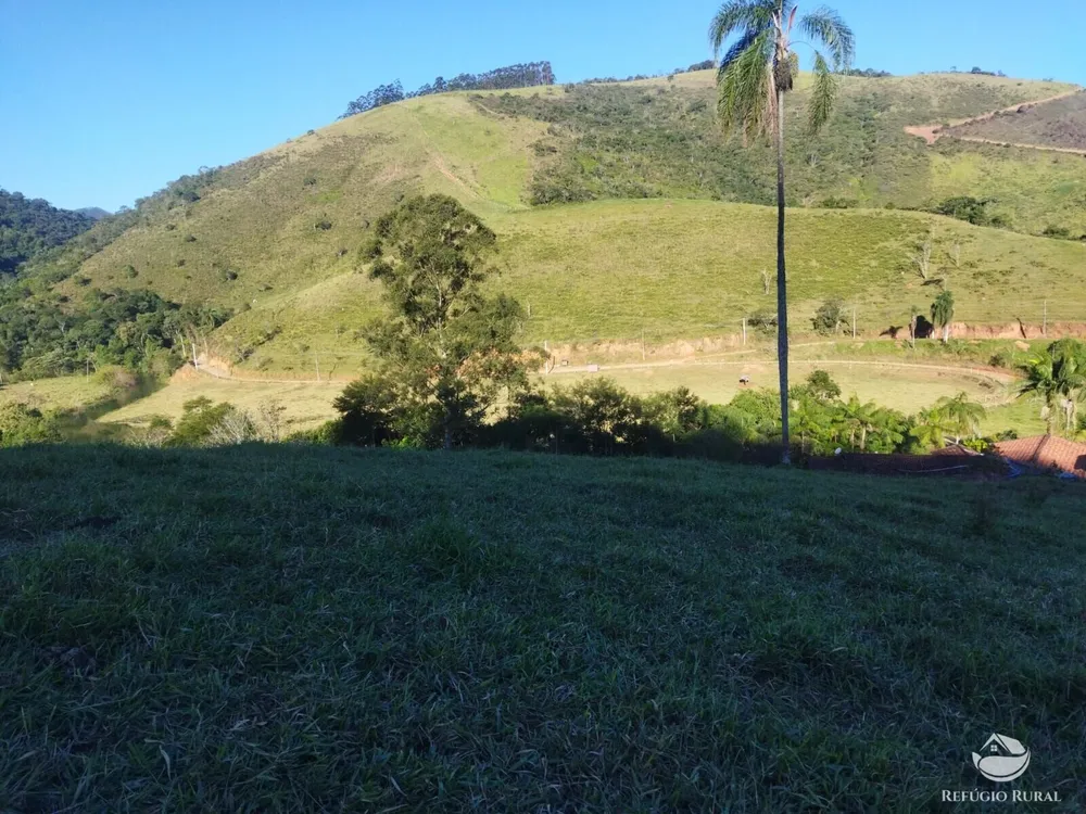 Terreno, 2 hectares - Foto 7
