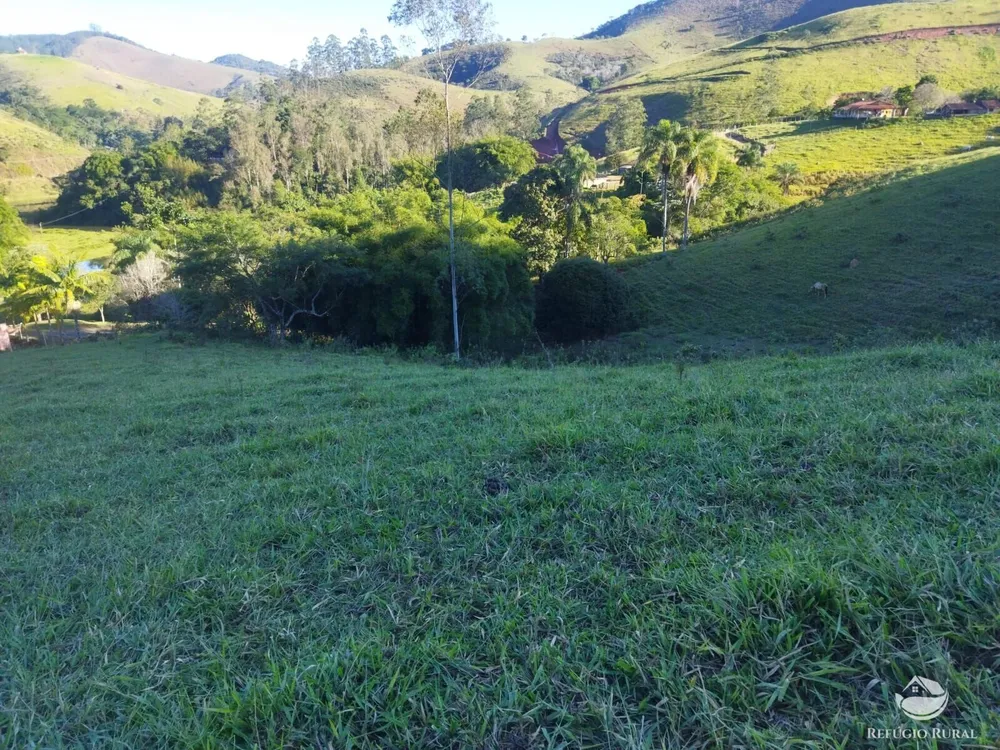 Terreno, 2 hectares - Foto 6