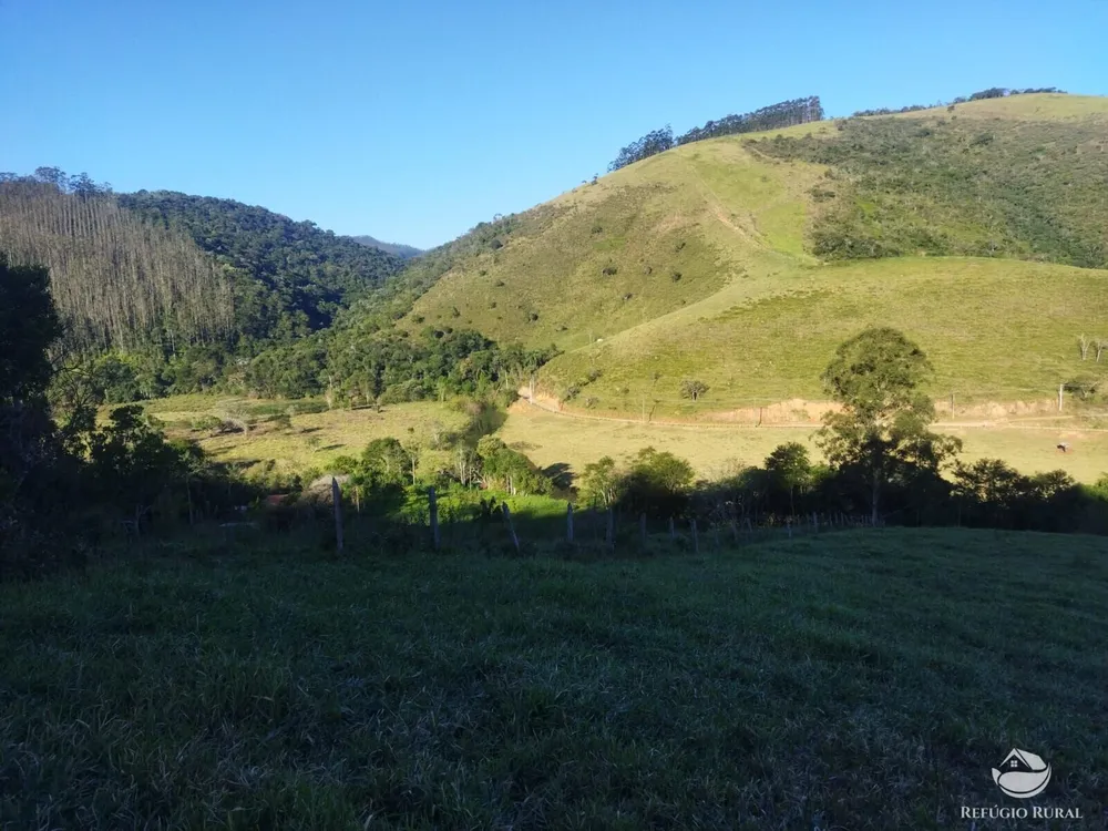 Terreno, 2 hectares - Foto 3