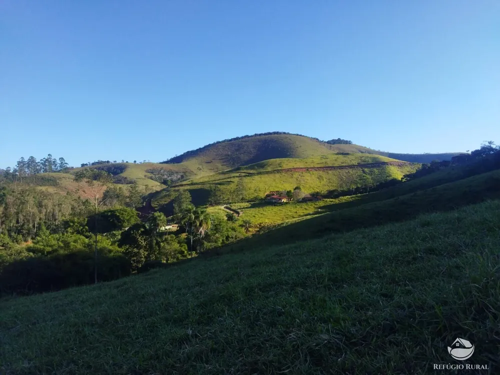 Terreno, 2 hectares - Foto 1