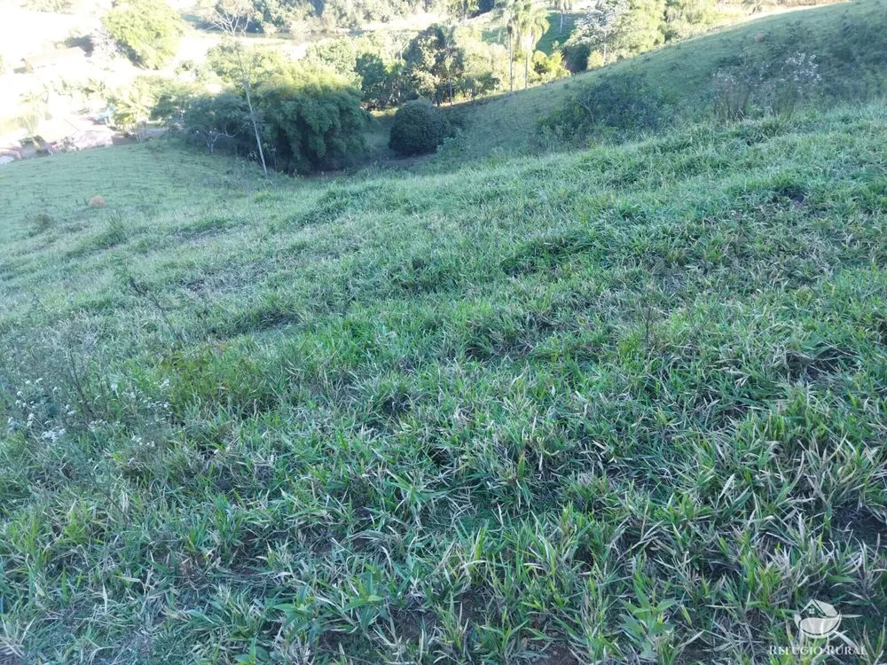 Terreno, 2 hectares - Foto 13