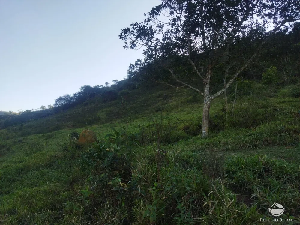 Terreno, 2 hectares - Foto 12
