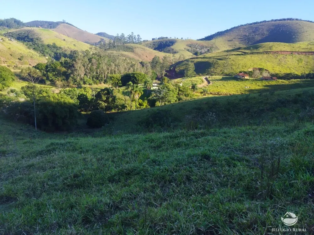 Terreno, 2 hectares - Foto 11