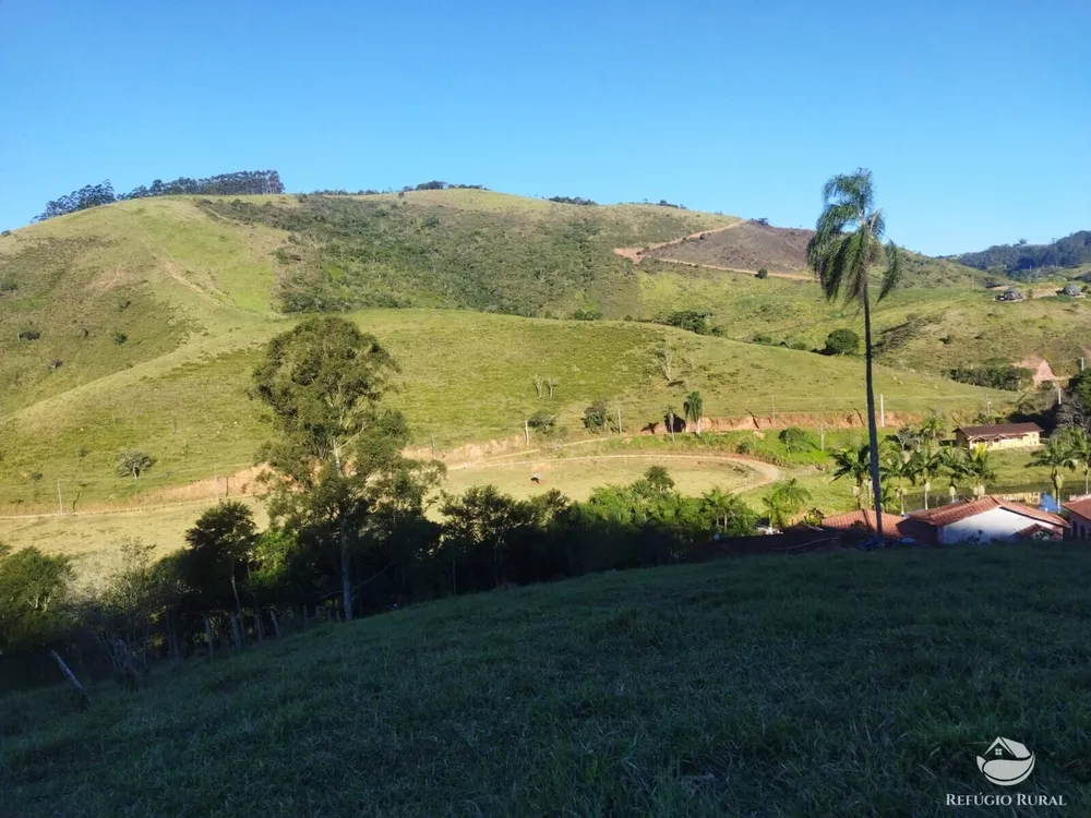 Terreno, 2 hectares - Foto 10
