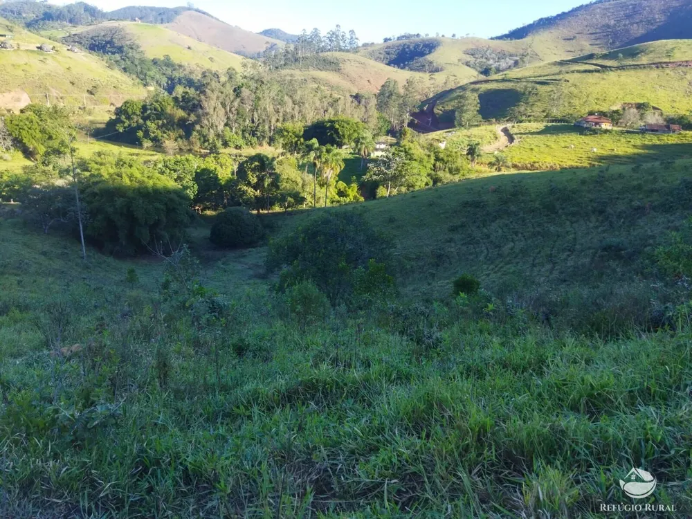 Terreno, 2 hectares - Foto 14