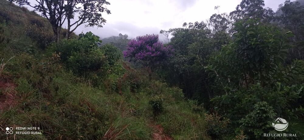 Sítio à venda com 3 quartos, 40000m² - Foto 27