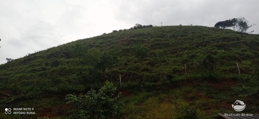 Sítio à venda com 3 quartos, 40000m² - Foto 9