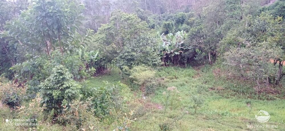 Sítio à venda com 3 quartos, 40000m² - Foto 29