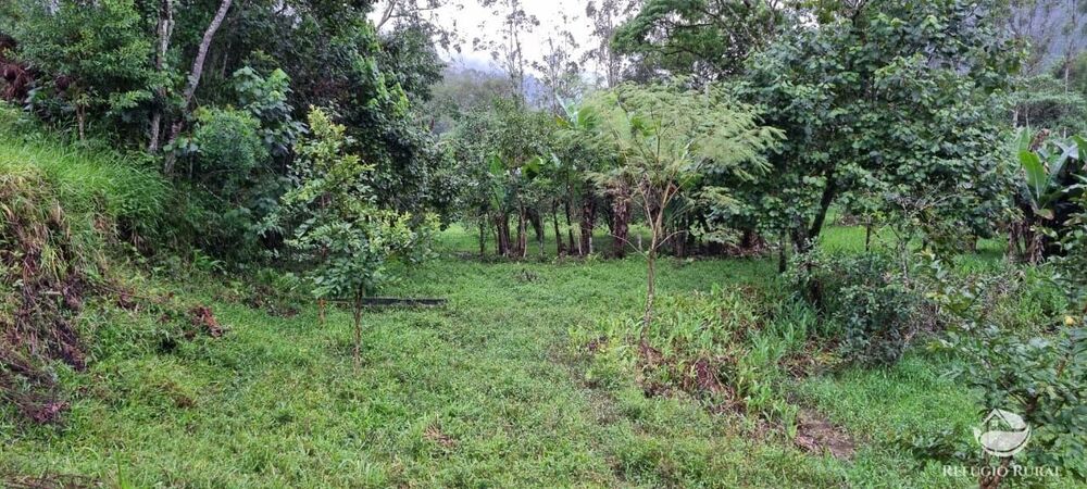 Sítio à venda com 3 quartos, 40000m² - Foto 31