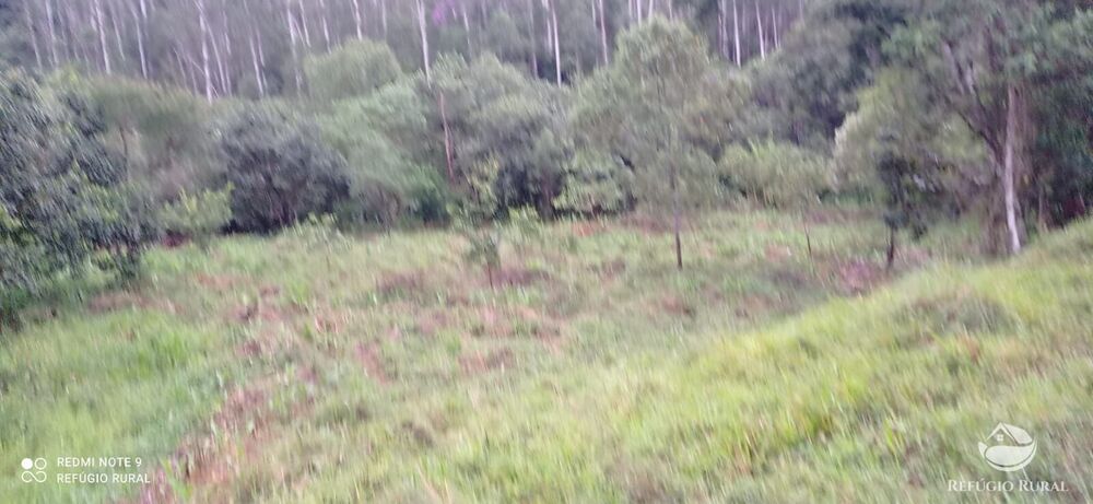 Sítio à venda com 3 quartos, 40000m² - Foto 24