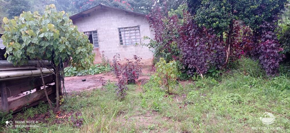 Sítio à venda com 3 quartos, 40000m² - Foto 3