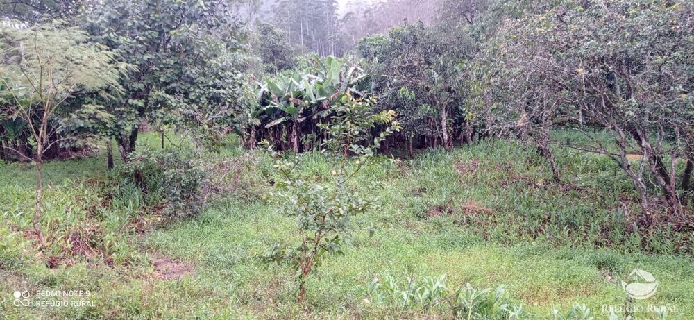 Sítio à venda com 3 quartos, 40000m² - Foto 23
