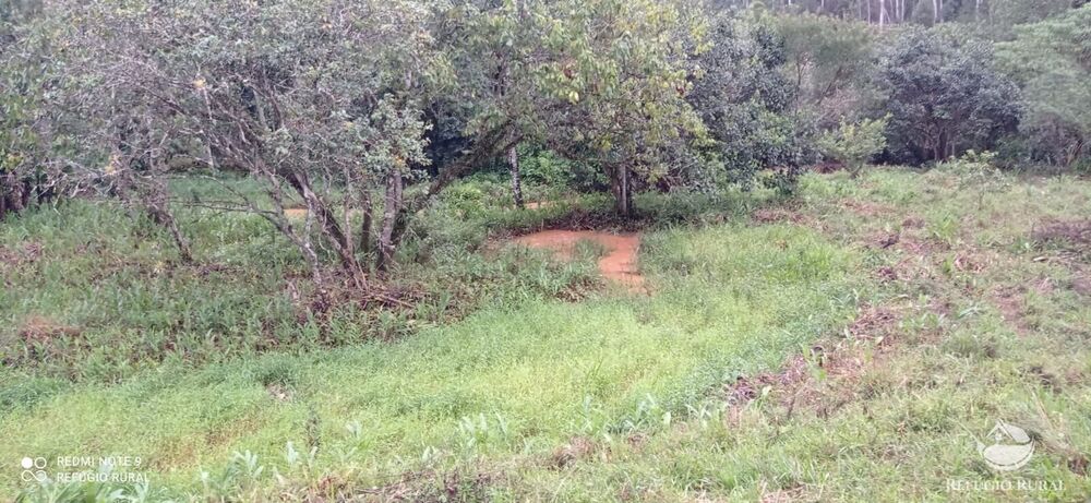 Sítio à venda com 3 quartos, 40000m² - Foto 21