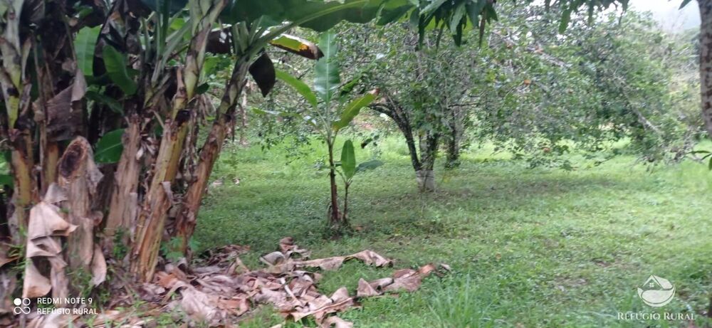 Sítio à venda com 3 quartos, 40000m² - Foto 11