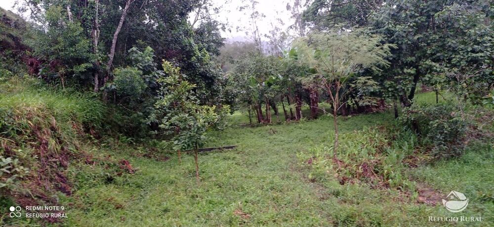 Sítio à venda com 3 quartos, 40000m² - Foto 28