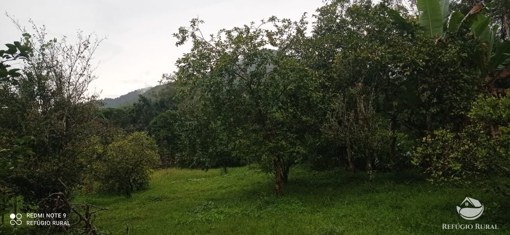 Sítio à venda com 3 quartos, 40000m² - Foto 18
