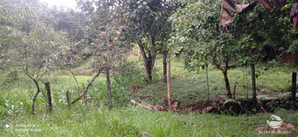 Sítio à venda com 3 quartos, 40000m² - Foto 14