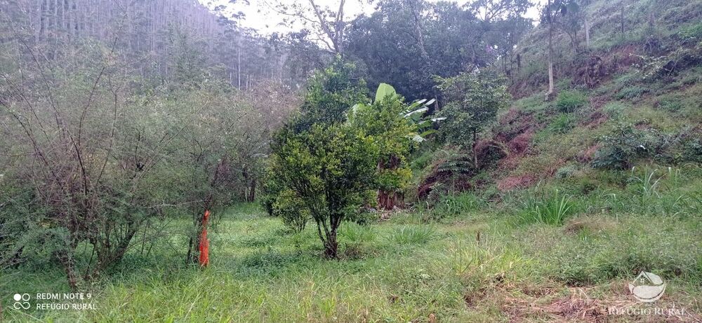 Sítio à venda com 3 quartos, 40000m² - Foto 2