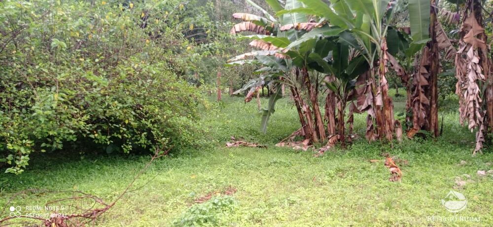 Sítio à venda com 3 quartos, 40000m² - Foto 10