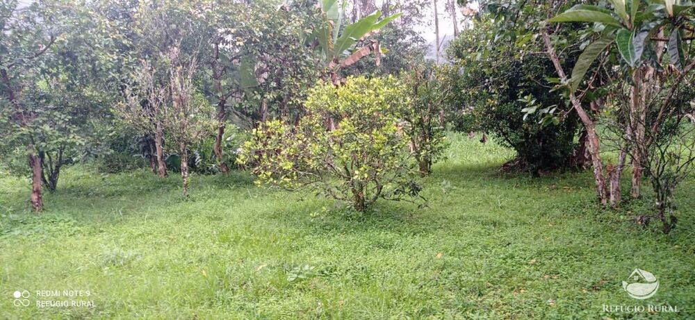 Sítio à venda com 3 quartos, 40000m² - Foto 22