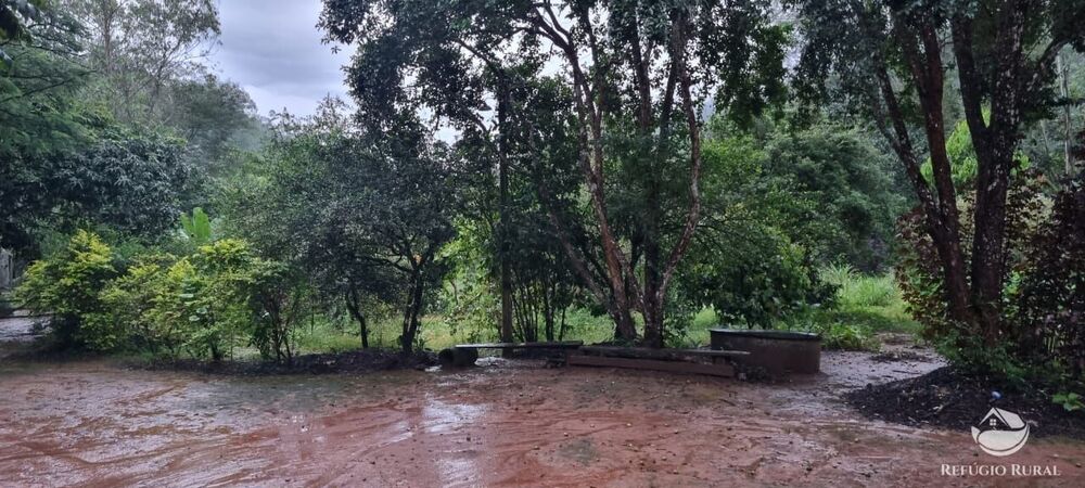 Sítio à venda com 3 quartos, 40000m² - Foto 33