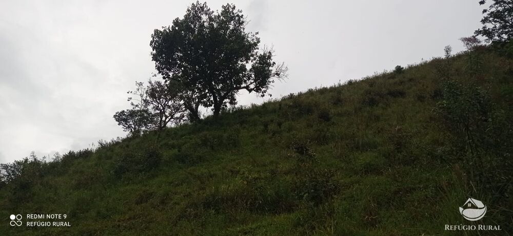 Sítio à venda com 3 quartos, 40000m² - Foto 25
