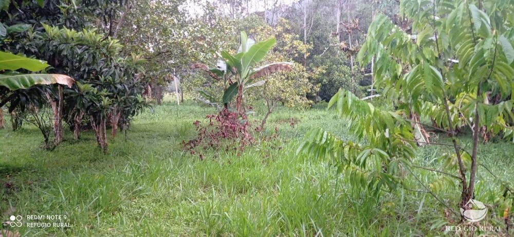 Sítio à venda com 3 quartos, 40000m² - Foto 8