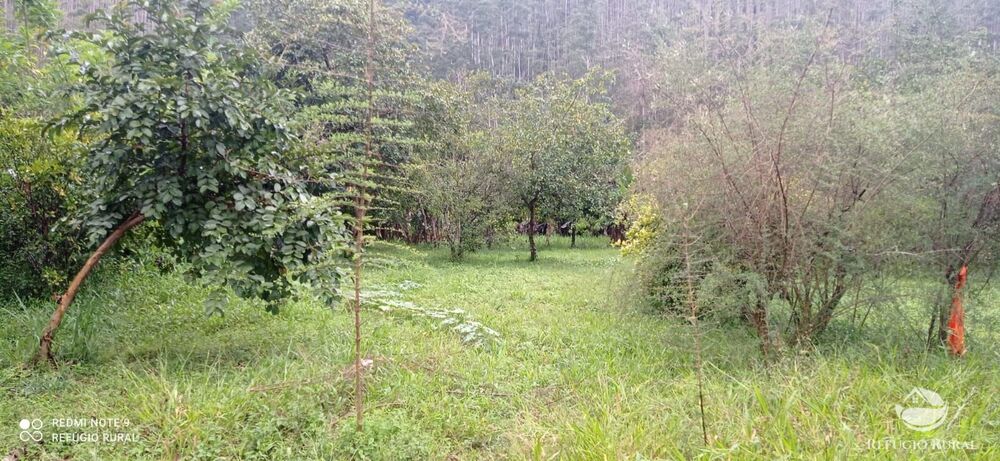 Sítio à venda com 3 quartos, 40000m² - Foto 1