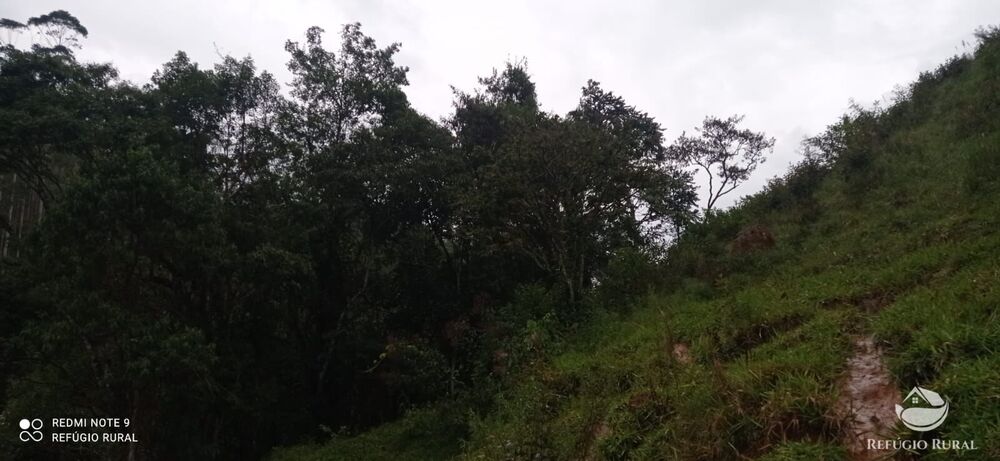 Sítio à venda com 3 quartos, 40000m² - Foto 30