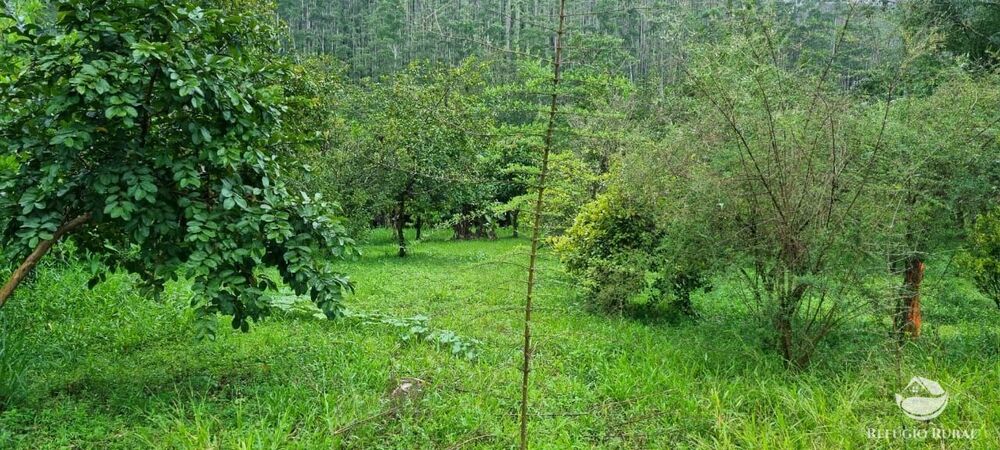 Sítio à venda com 3 quartos, 40000m² - Foto 36