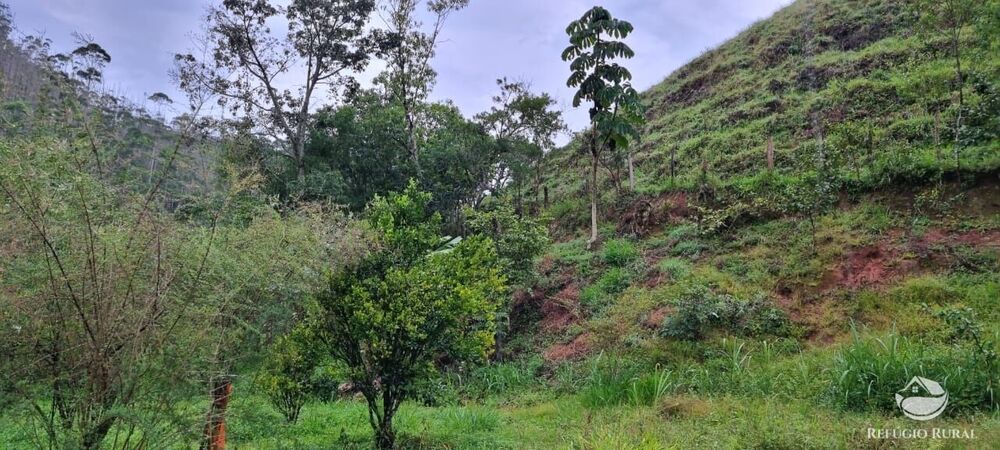 Sítio à venda com 3 quartos, 40000m² - Foto 35