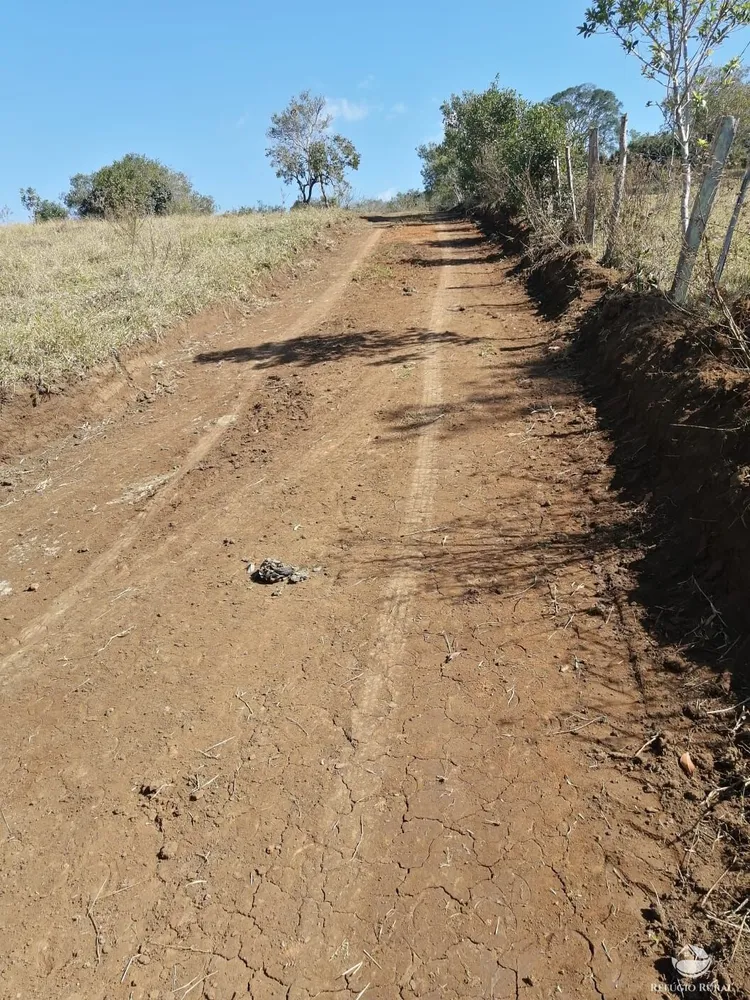 Terreno, 1000 m² - Foto 4