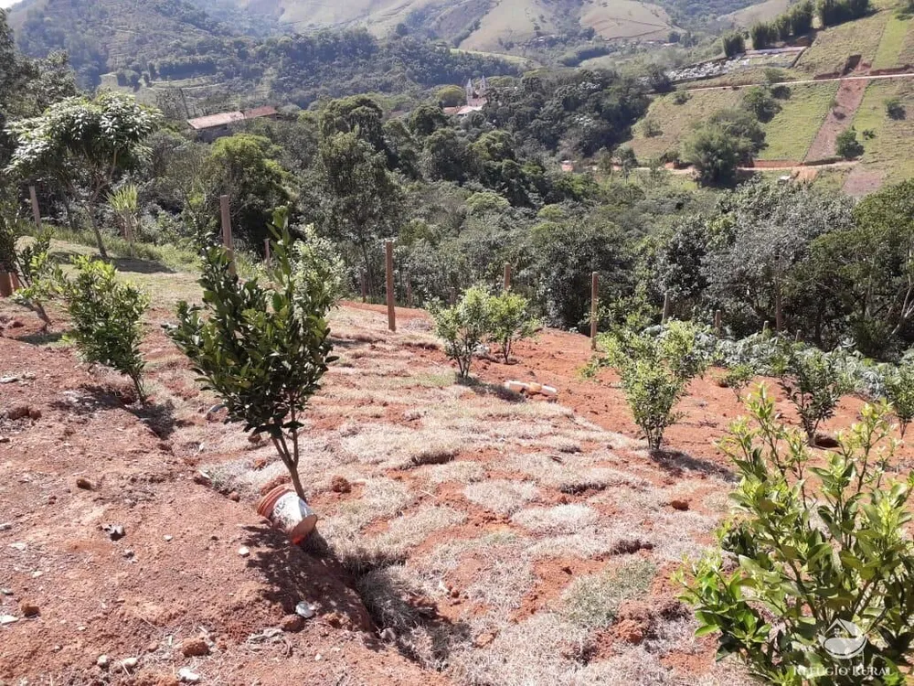Terreno, 2300 m² - Foto 2