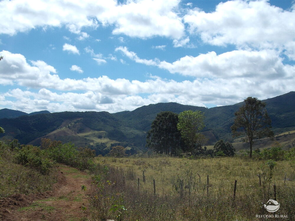Sítio à venda com 1 quarto, 250000m² - Foto 4